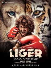 Liger